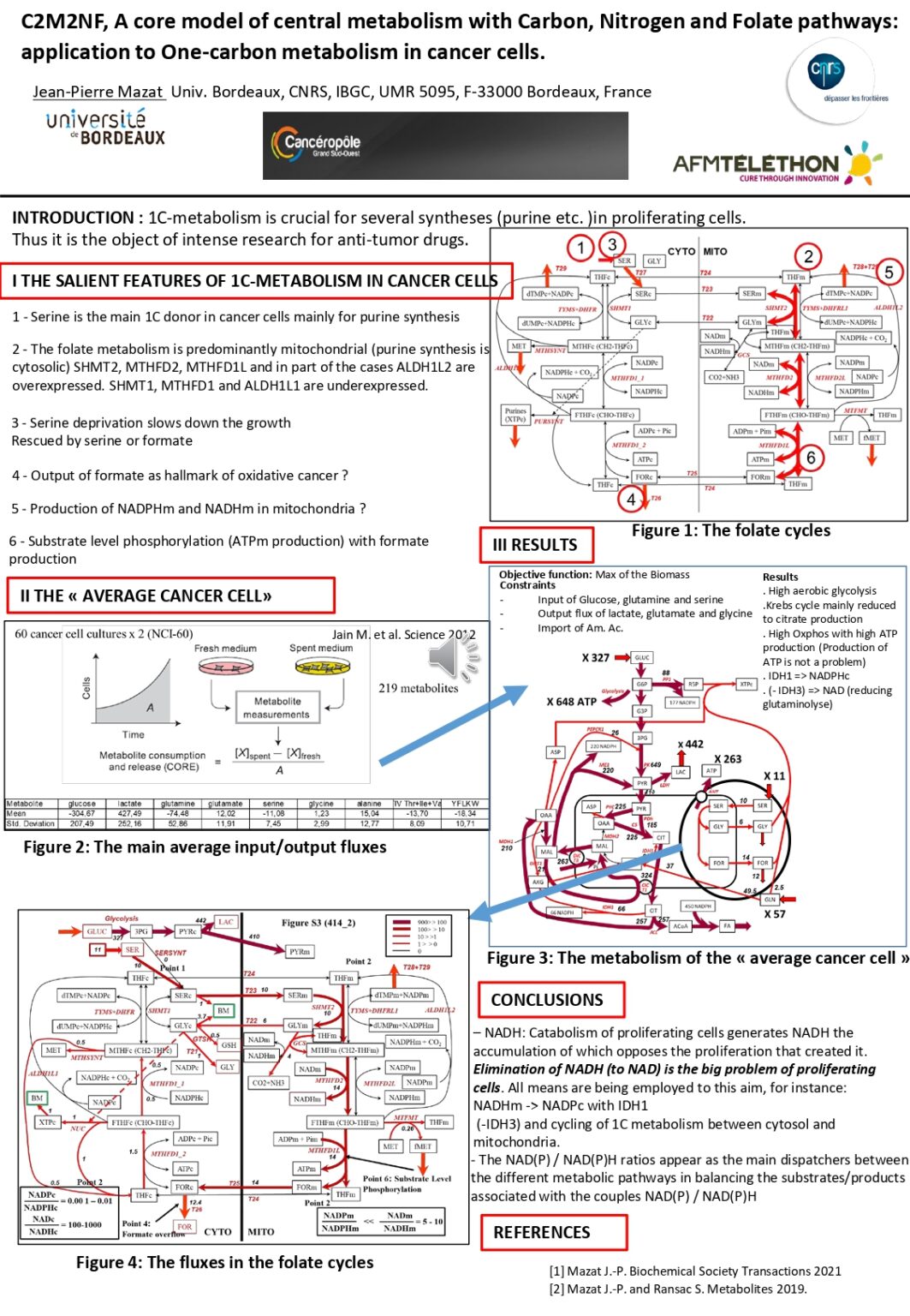 C2M2NF, A core model of central metabolism with Carbon, Nitrogen and ...
